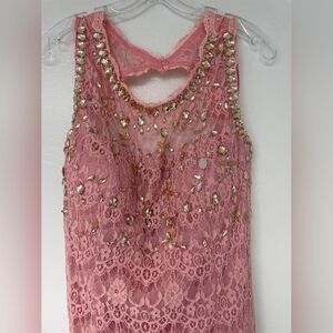 NWT Fanny Brand Lace Sheath Gown, 2XL, pink